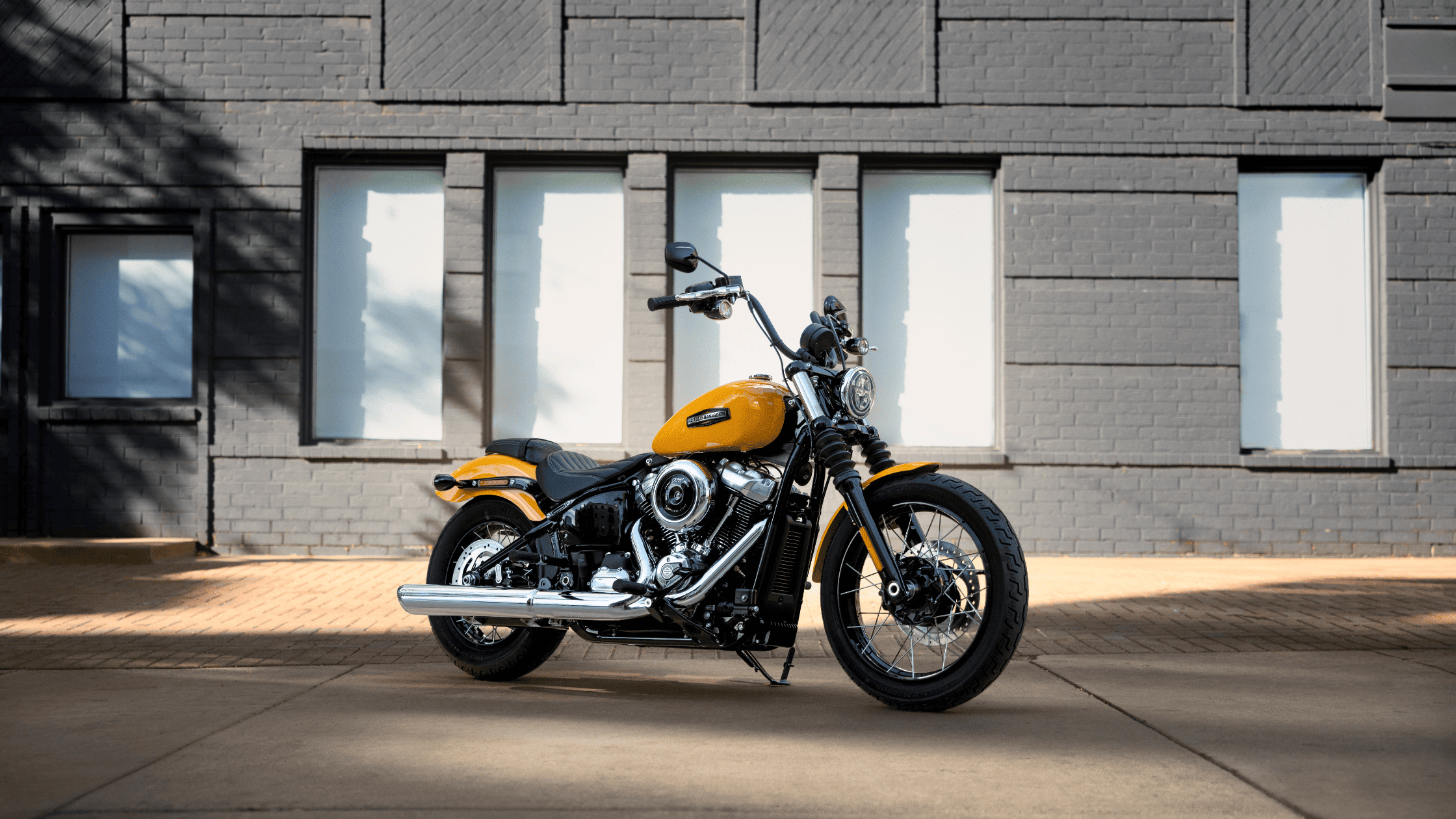 A yellow 2025 Harley-Davidson® Street Bob® parked in front of a building near Mount Pleasant, TN.